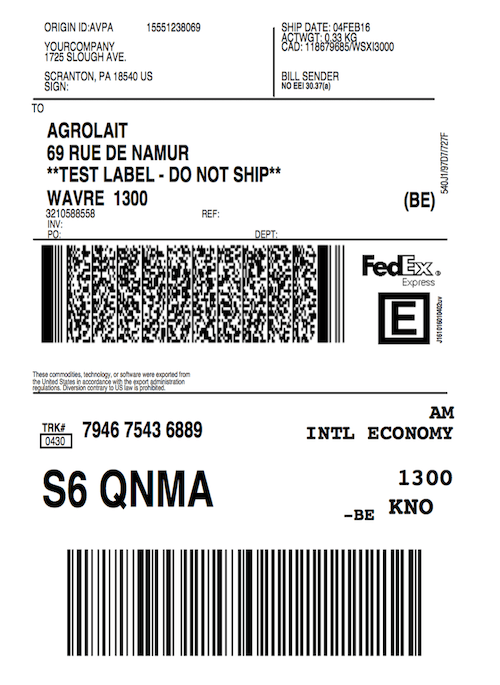 Full page letter size FedEx shipping label.